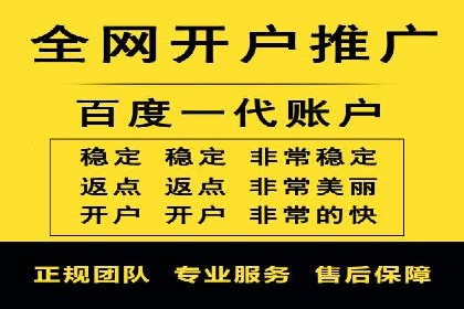 搜索引擎优化（SEO）在百度上的应用案例研究